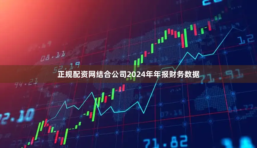 正规配资网结合公司2024年年报财务数据