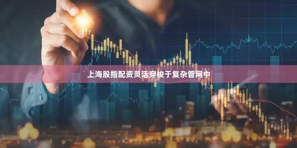 上海股指配资灵活穿梭于复杂管网中