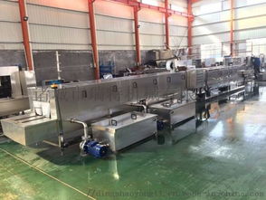 9600育苗盤清洗機(jī) 清洗設(shè)備廠家價(jià)格 9600育苗盤清洗機(jī) 清洗設(shè)備圖片 9600育苗盤清洗機(jī) 清洗設(shè)備批發(fā) 百卓采購網(wǎng)